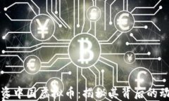 马斯克投资中国虚拟币：揭秘其背后的