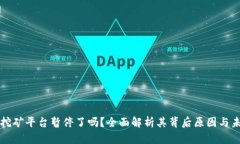虚拟币挖矿平台暂停了吗？全面解析其