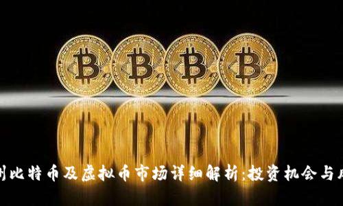 杭州比特币及虚拟币市场详细解析:投资机会与风险