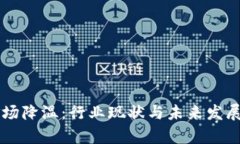 虚拟币矿场降温：行业现状与未来发展