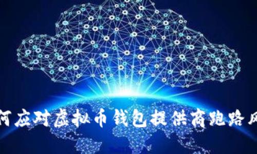  如何应对虚拟币钱包提供商跑路风险？