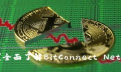什么是BCN虚拟币？全面了解BitConnect 