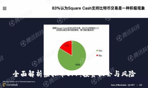 全面解析虚拟币BPP:投资机会与风险