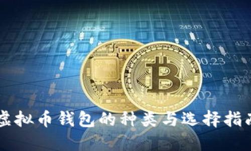 虚拟币钱包的种类与选择指南