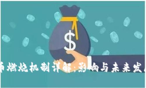 虚拟币燃烧机制详解：影响与未来发展展望