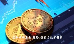 虚拟币的未来：趋势、投资与技术解析