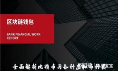 全面解析比特币与各种虚拟币种类