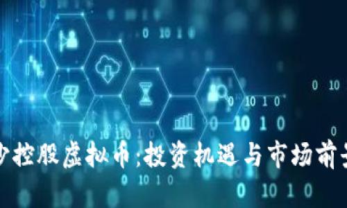 : 金沙控股虚拟币：投资机遇与市场前景解析