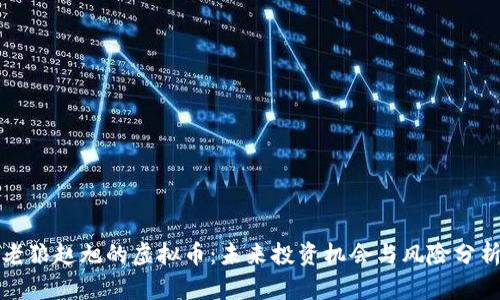 老狼赵旭的虚拟币：未来投资机会与风险分析