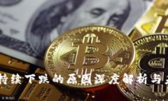 虚拟币持续下跌的原因深度解析与未来