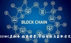  SDWC虚拟币：投资前景、市场分析与获
