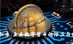 SFCH虚拟币：未来数字货币的潜力与发