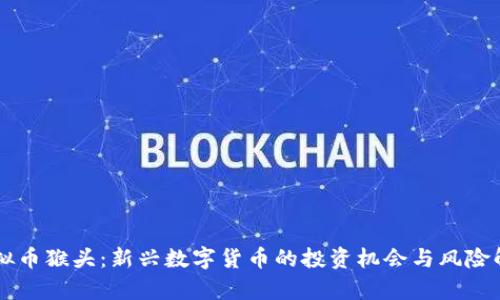 虚拟币猴头:新兴数字货币的投资机会与风险解析