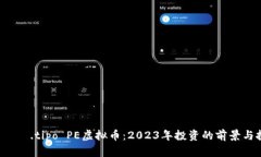  രോഗ.tipo PE虚拟币：2023年投资的前