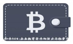 虚拟币BDE：未来数字货币的潜力与投资