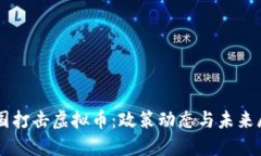 美国打击虚拟币：政策动态与未来展望