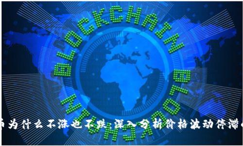 虚拟币为什么不涨也不跌:深入分析价格波动停滞的原因