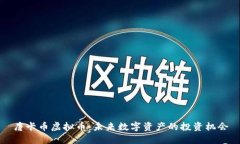 唐卡币虚拟币：未来数字资产的投资机