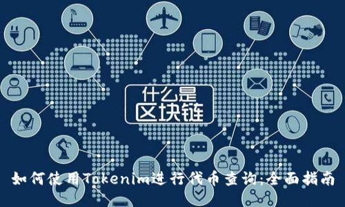 如何使用Tokenim进行代币查询：全面指南