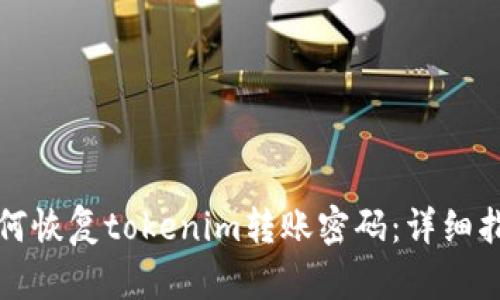如何恢复tokenim转账密码：详细指南