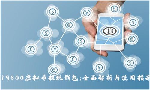 19800虚拟币提现钱包：全面解析与使用指南