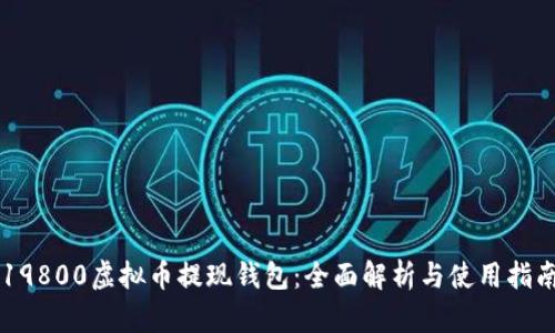 19800虚拟币提现钱包：全面解析与使用指南