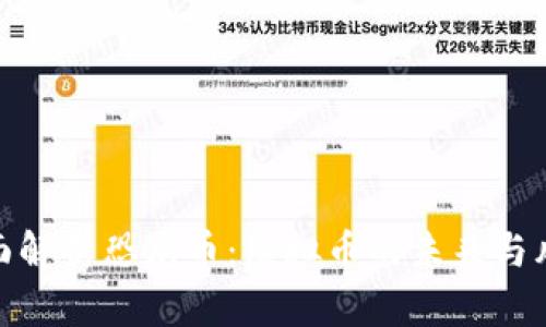 全面解析恐龙币：虚拟币的未来与风险
