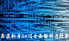  什么是虚拟币SAT？全面解析与投资指