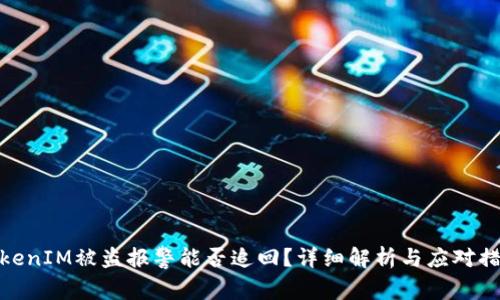 TokenIM被盗报警能否追回？详细解析与应对措施