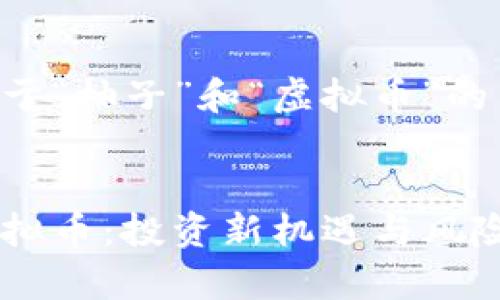 以下是基于“柚子”和“虚拟币”的内容计划:
柚子与虚拟币:投资新机遇与风险解析