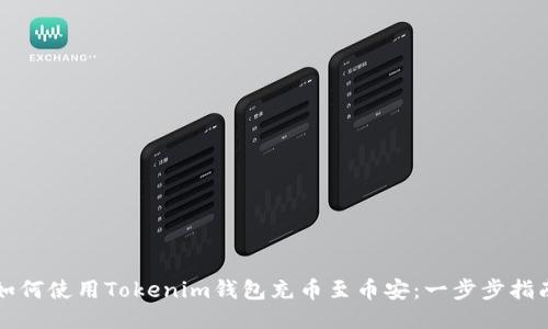 如何使用Tokenim钱包充币至币安：一步步指南