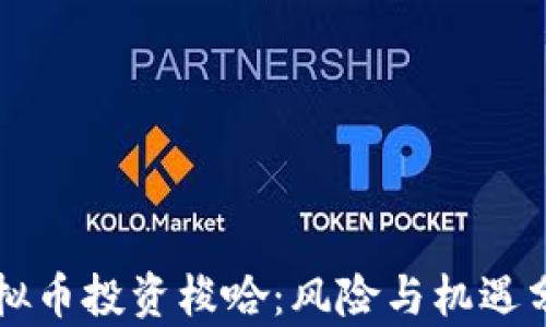 虚拟币投资梭哈:风险与机遇分析