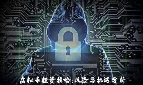 虚拟币投资梭哈:风险与机遇分析
