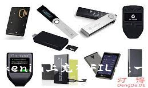 如何在Tokenim上充入FIL币：一步步指南