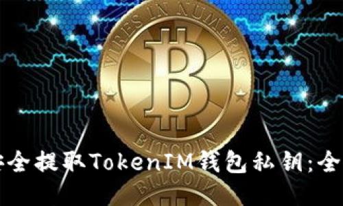 如何安全提取TokenIM钱包私钥：全面指南