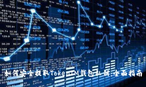 如何安全提取TokenIM钱包私钥：全面指南