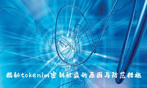 揭秘tokenim密钥被盗的原因与防范措施