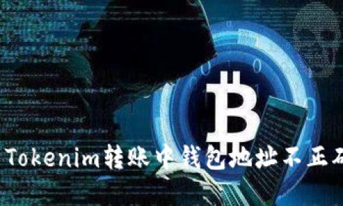 如何解决Tokenim转账中钱包地址不正确的问题？