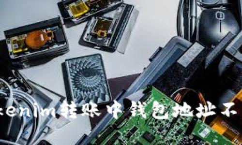 如何解决Tokenim转账中钱包地址不正确的问题？