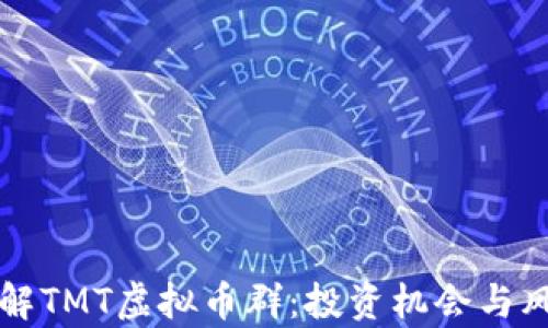 深入了解TMT虚拟币群:投资机会与风险分析