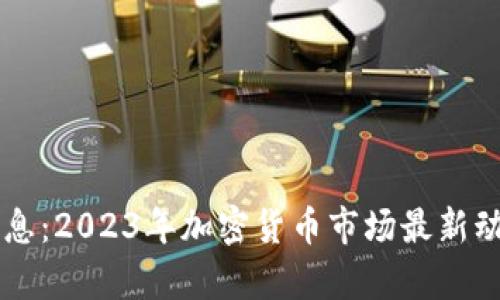 虚拟币发币消息:2023年加密货币市场最新动态与前景分析