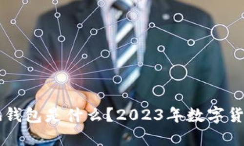 虚拟币本地钱包是什么?2023年数字货币钱包指南