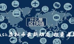 2023年Dash虚拟币最新动态：投资者新机