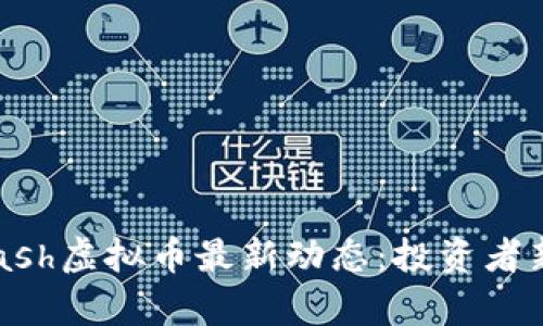 2023年Dash虚拟币最新动态：投资者新机会解析