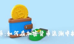 div狗虚拟币：如何在加密货币浪潮中抓