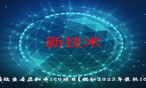 如何有效查看虚拟币ICO项目？揭秘2023年最热ICO趋势