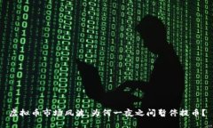 虚拟币市场风波：为何一夜之间暂停提