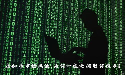 虚拟币市场风波:为何一夜之间暂停提币?
