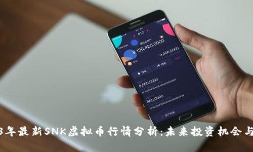 2023年最新SNK虚拟币行情分析：未来投资机会与风险