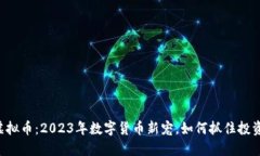 马币虚拟币：2023年数字货币新宠，如